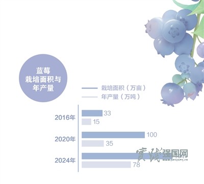 消费者“甜”了，果农有赚头吗？