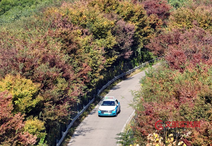 推进社会治理现代化走深走实——各地学习贯彻党的二十届四中全会精神见闻 推进社会治理现代化走深走实——各地学习贯彻党的二十届四中全会精神见闻
