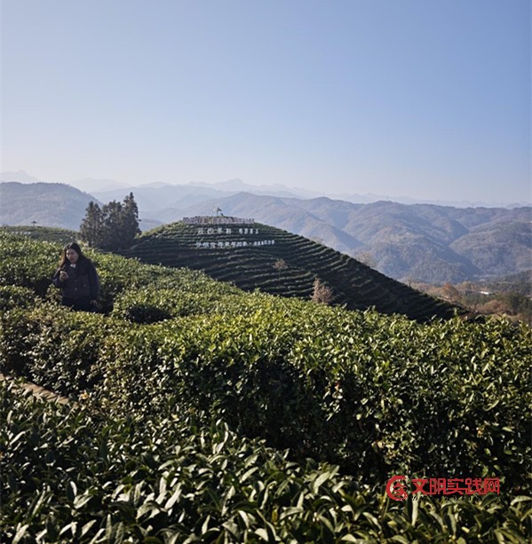 从腊味飘香到星空璀璨：陕西四地用“土特色”点亮乡村振兴路