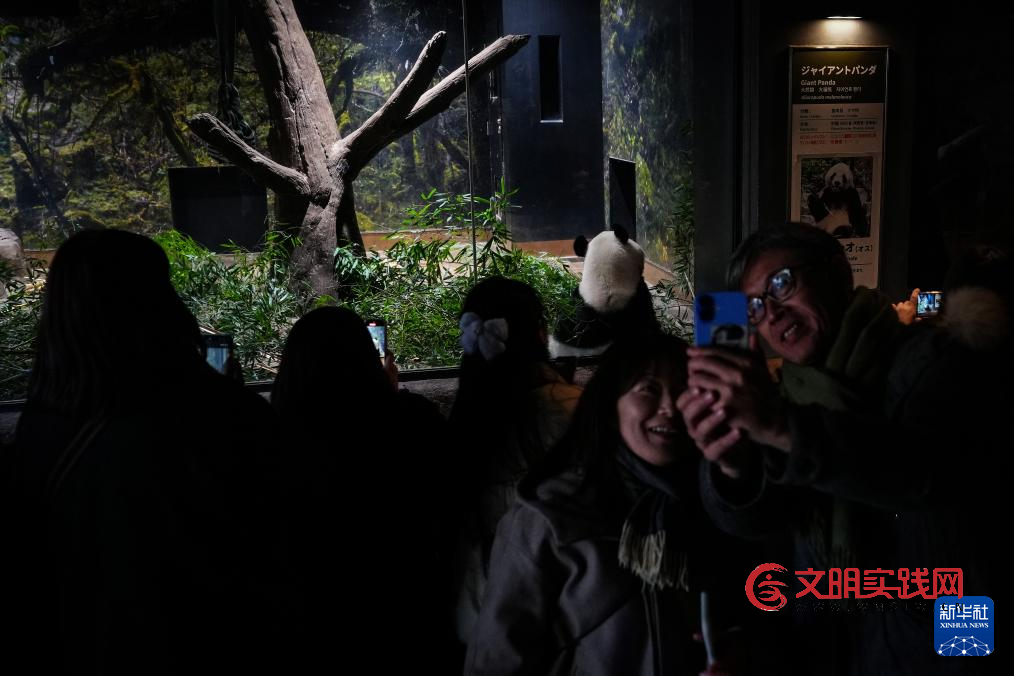 大熊猫“晓晓”和“蕾蕾”将于27日从日本回国 大熊猫“晓晓”和“蕾蕾”将于27日从日本回国