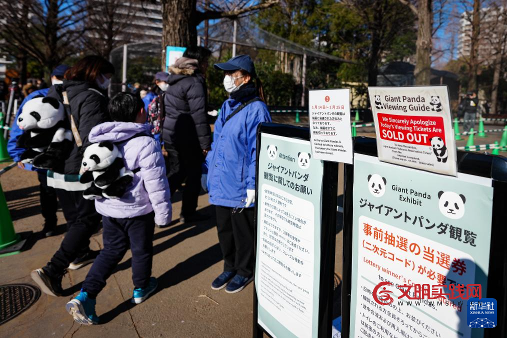大熊猫“晓晓”和“蕾蕾”将于27日从日本回国 大熊猫“晓晓”和“蕾蕾”将于27日从日本回国