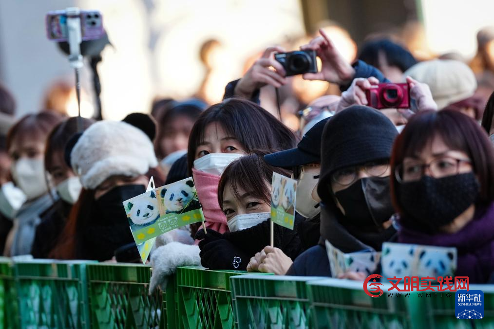 大熊猫“晓晓”和“蕾蕾”将于27日从日本回国 大熊猫“晓晓”和“蕾蕾”将于27日从日本回国