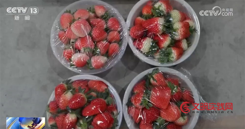 县域市场水果“焕新”、传统菜市活力升级 从“菜篮子”“果盘子”透视消费潜力