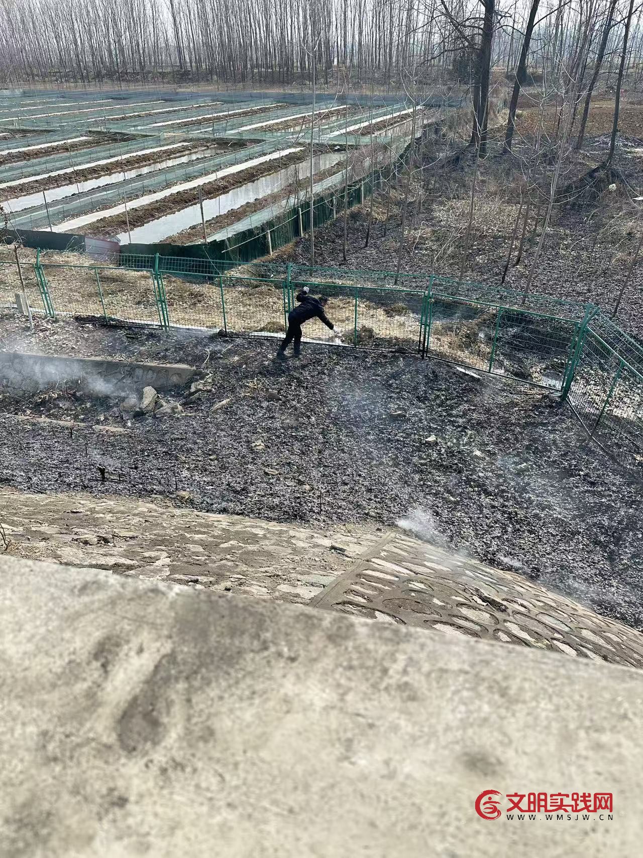 春节保畅在前 快速处置火情 连徐支队第一大队及时扑灭高速火情守护平安归途 b4b280db43512e51c0d73f41c8e3601f.jpg