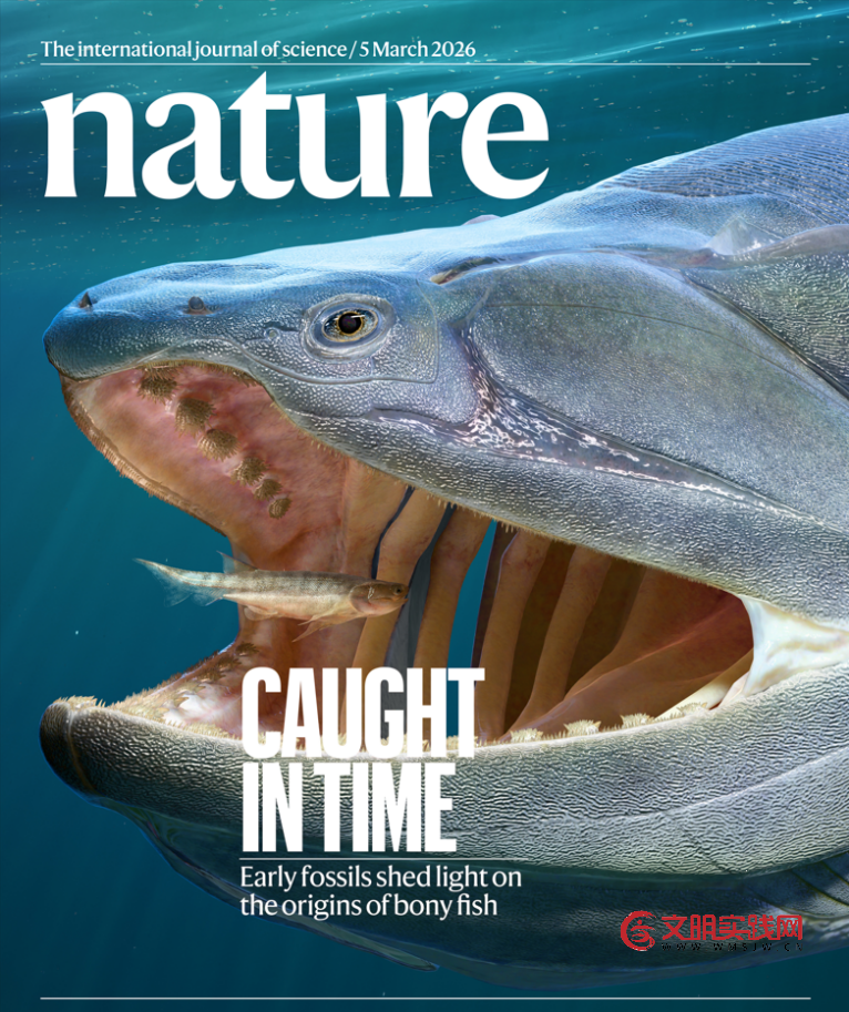 “从鱼到人”再添新证！我国发现早期硬骨鱼类化石