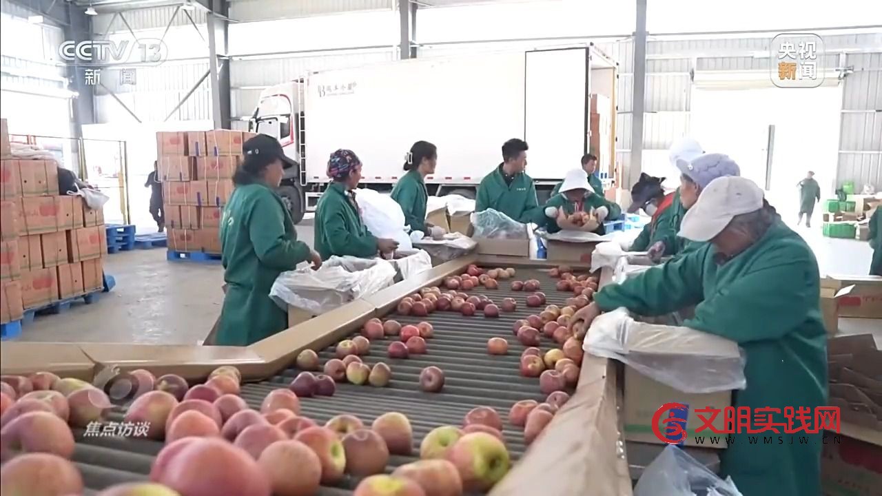 “小苹果”撬动大产业 区域协作让农产品“出山达海”