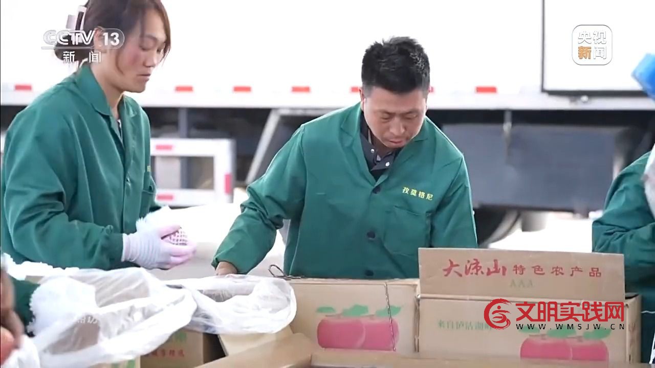 “小苹果”撬动大产业 区域协作让农产品“出山达海”