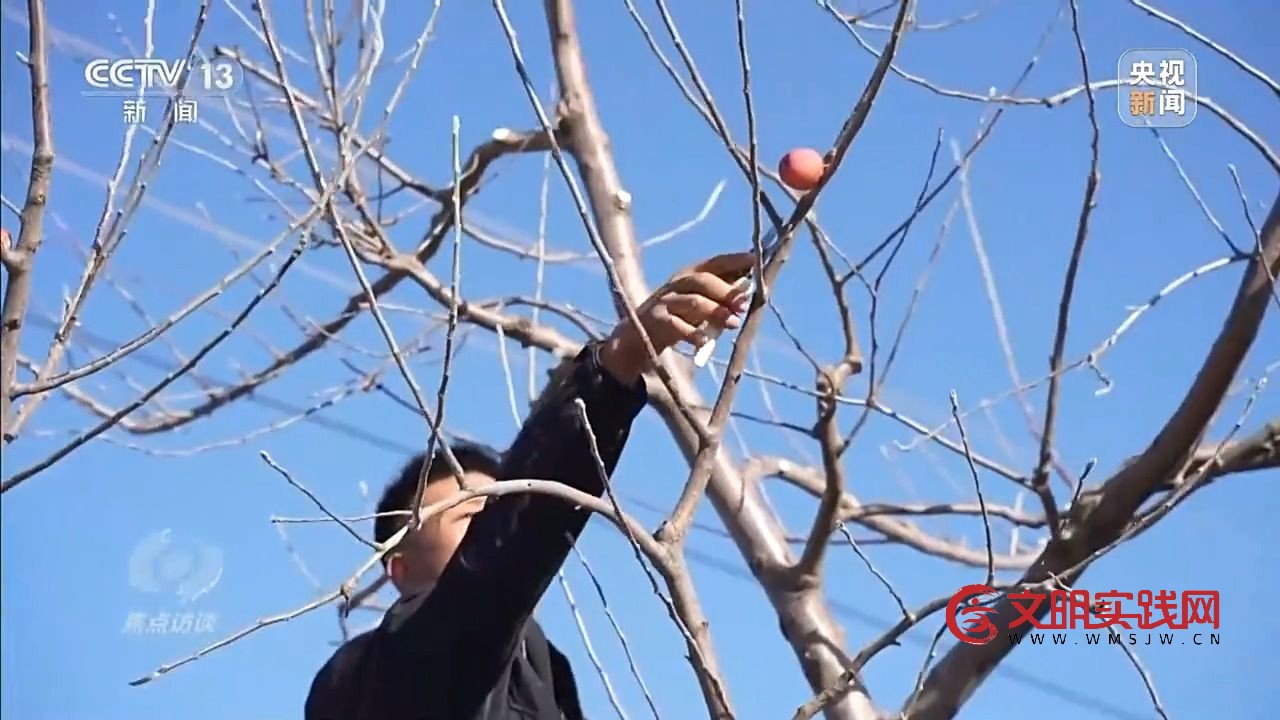 “小苹果”撬动大产业 区域协作让农产品“出山达海”