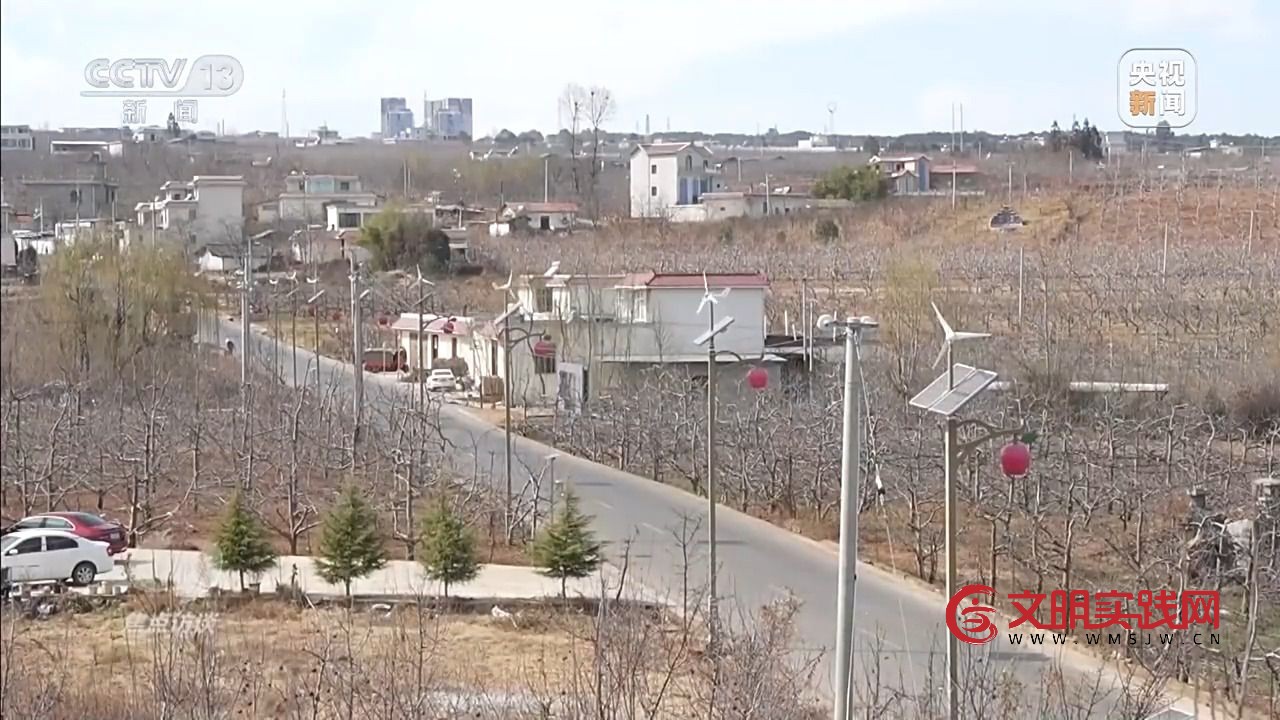 “小苹果”撬动大产业 区域协作让农产品“出山达海”