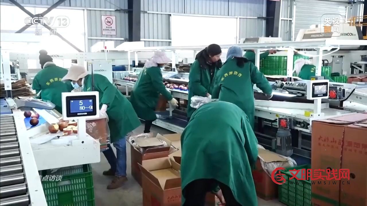 “小苹果”撬动大产业 区域协作让农产品“出山达海”