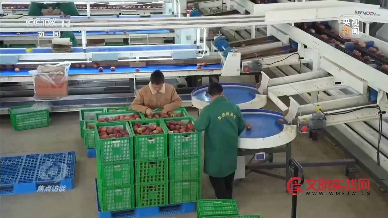 “小苹果”撬动大产业 区域协作让农产品“出山达海”