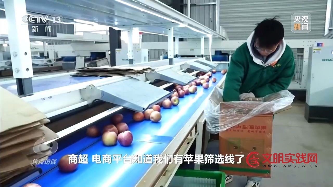 “小苹果”撬动大产业 区域协作让农产品“出山达海”