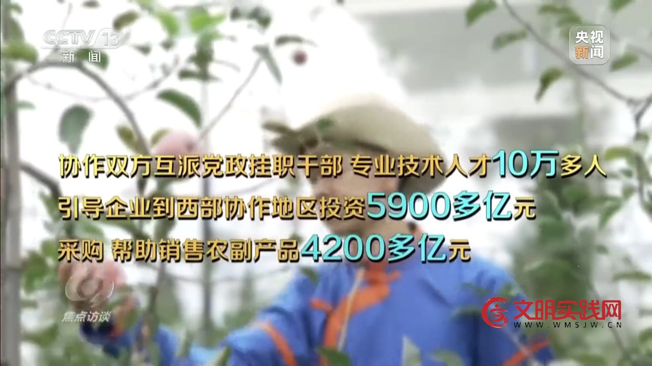 “小苹果”撬动大产业 区域协作让农产品“出山达海”
