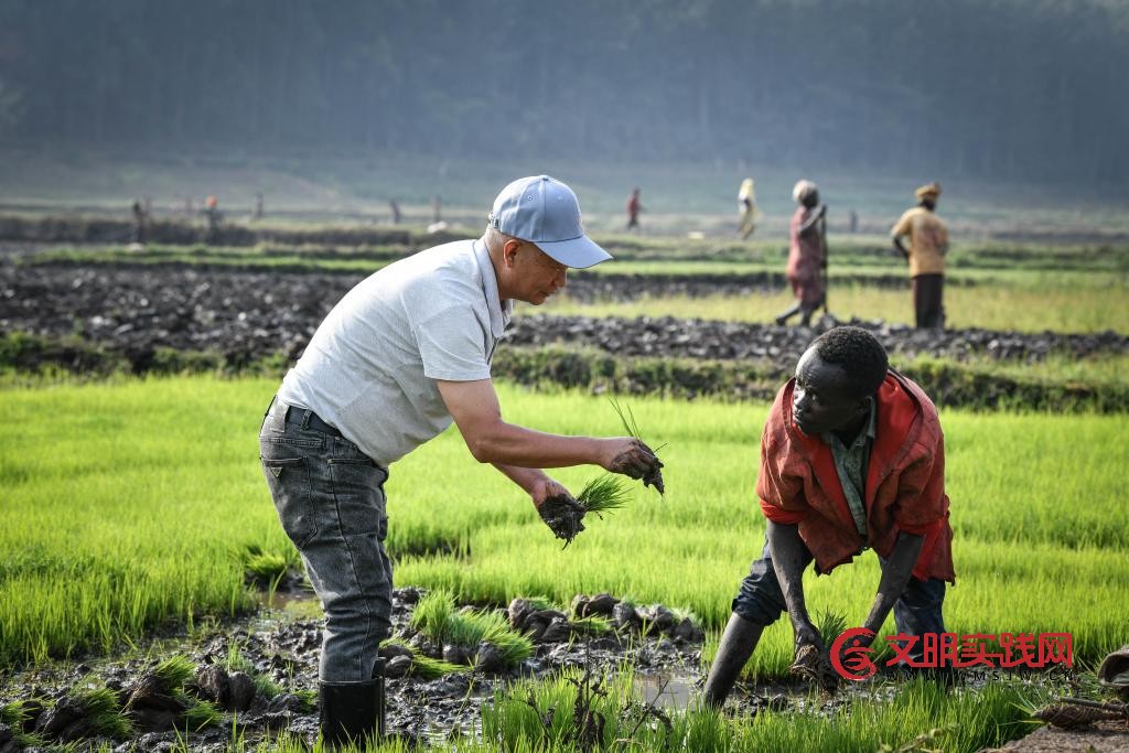 中国技术助力全球南方国家农业发展