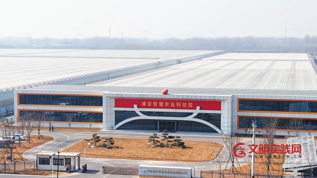 解锁雄安智慧农业的“隐藏技能”