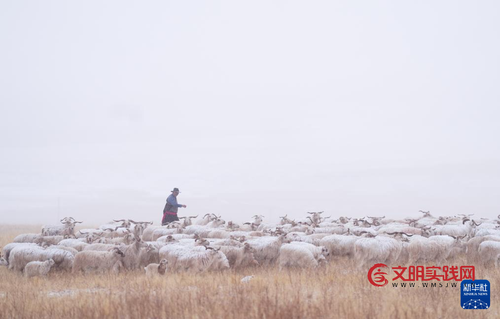 青海祁连： 春雪润高原