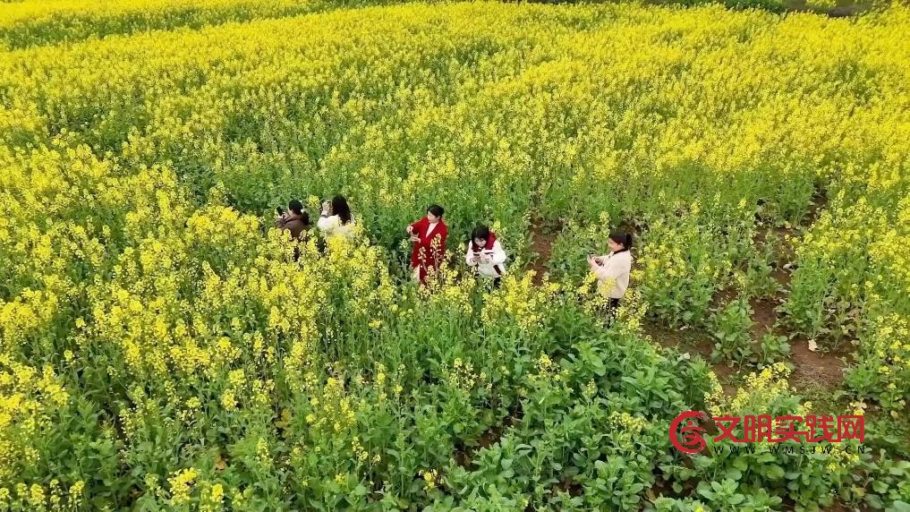 春日奋进正当时 多领域发力共促高质量发展