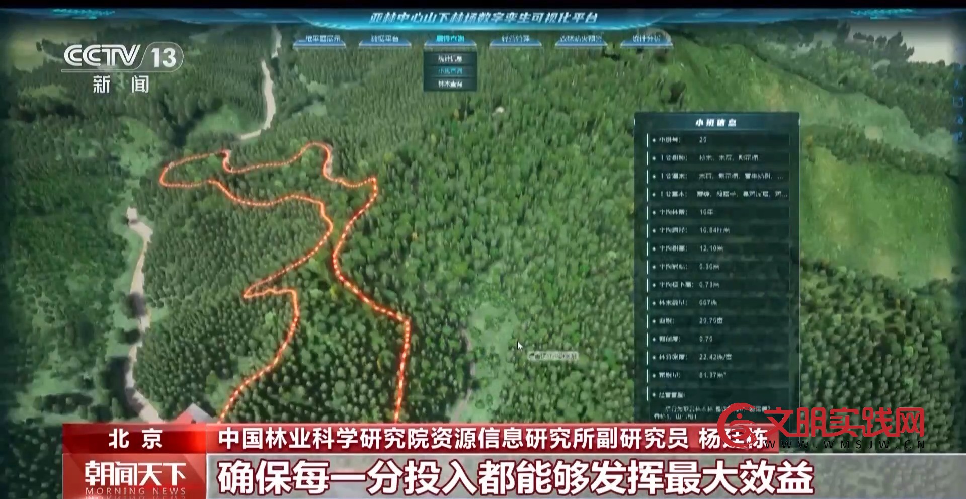 解锁绿色新高度 全球新增绿化面积四分之一来自中国