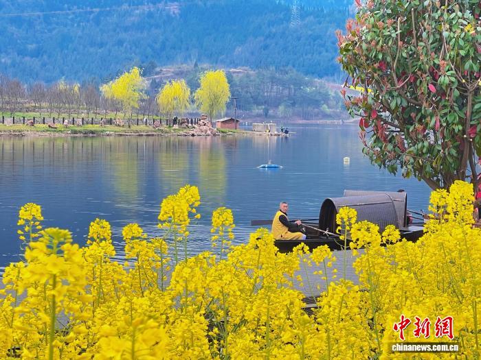 百万亩油菜花盛放 陕西汉中“产景共兴”催热“花经济”