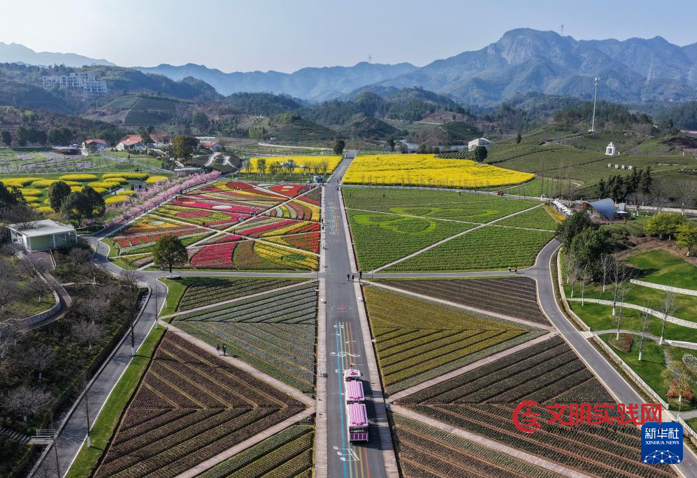 春日花田百花争艳