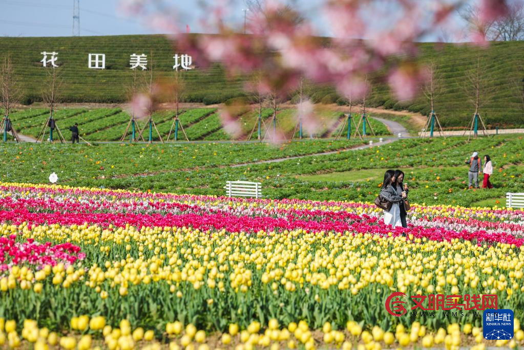 春日花田百花争艳