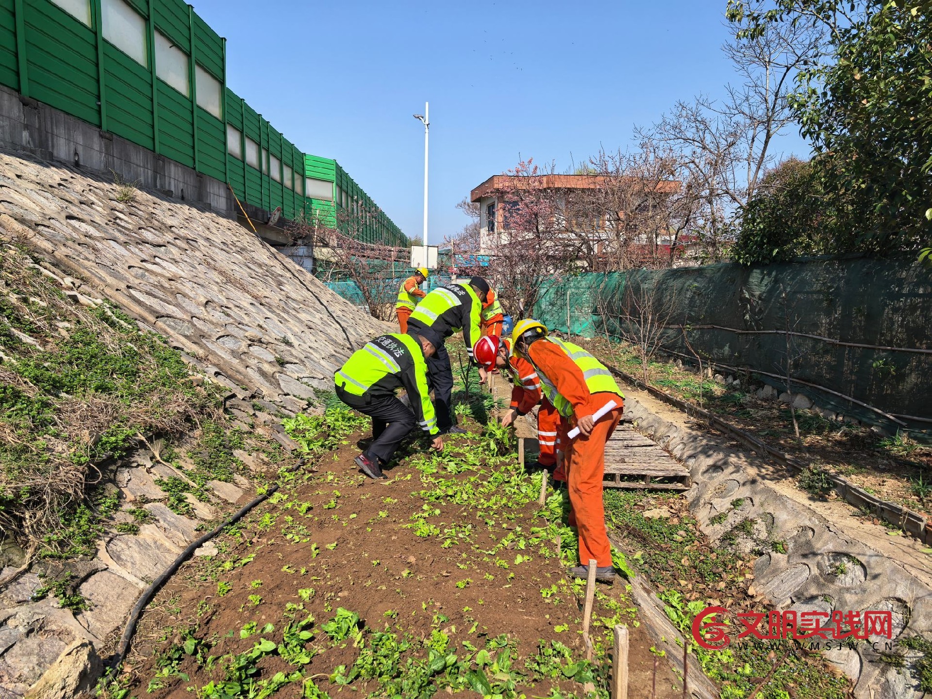 说理式柔性执法清隐患 连徐一大队开展春季路域环境整治