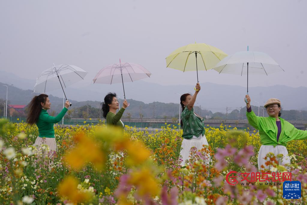江西南昌：彩色油菜花田春光正好