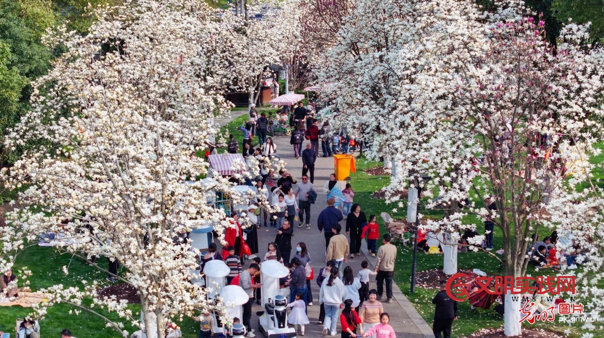 踏青赏花 乐享春光