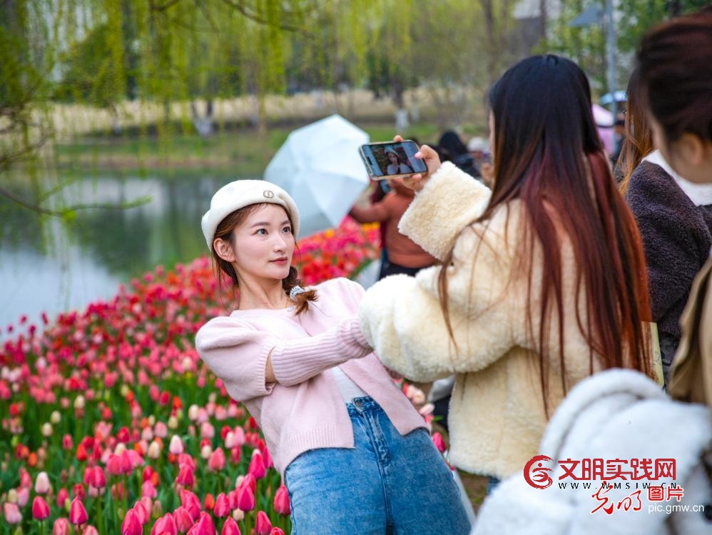 踏青赏花 乐享春光