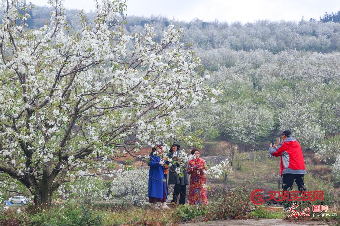 踏青赏花 乐享春光