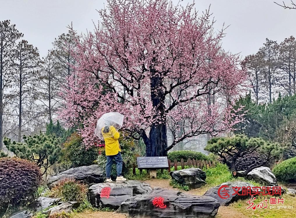 踏青赏花 乐享春光