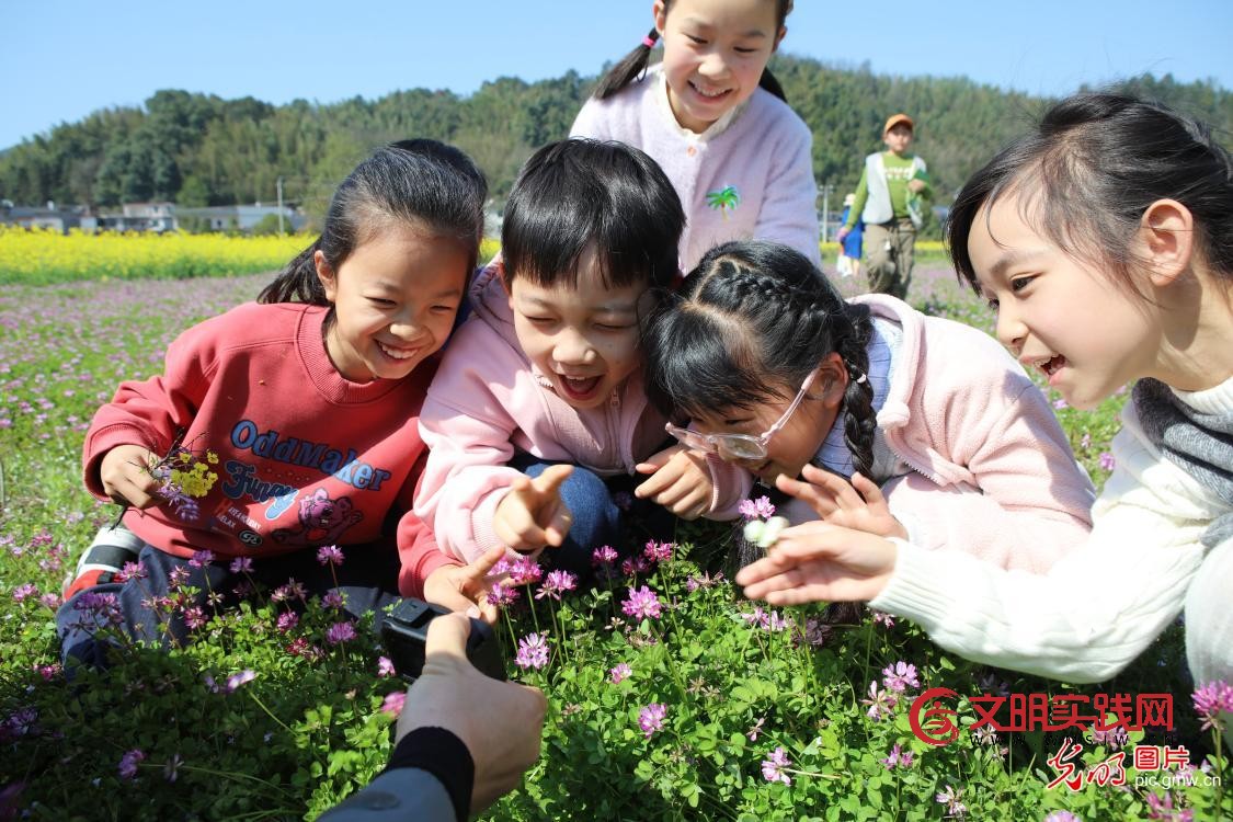 踏青赏花 乐享春光