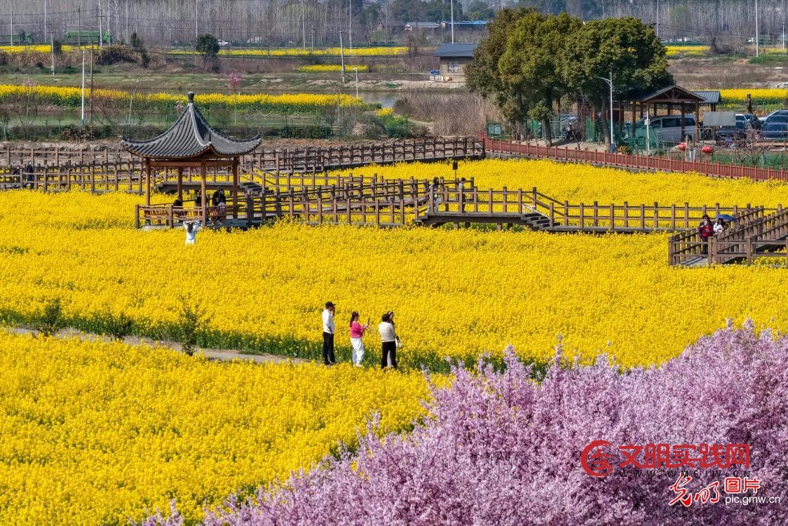 踏青赏花 乐享春光