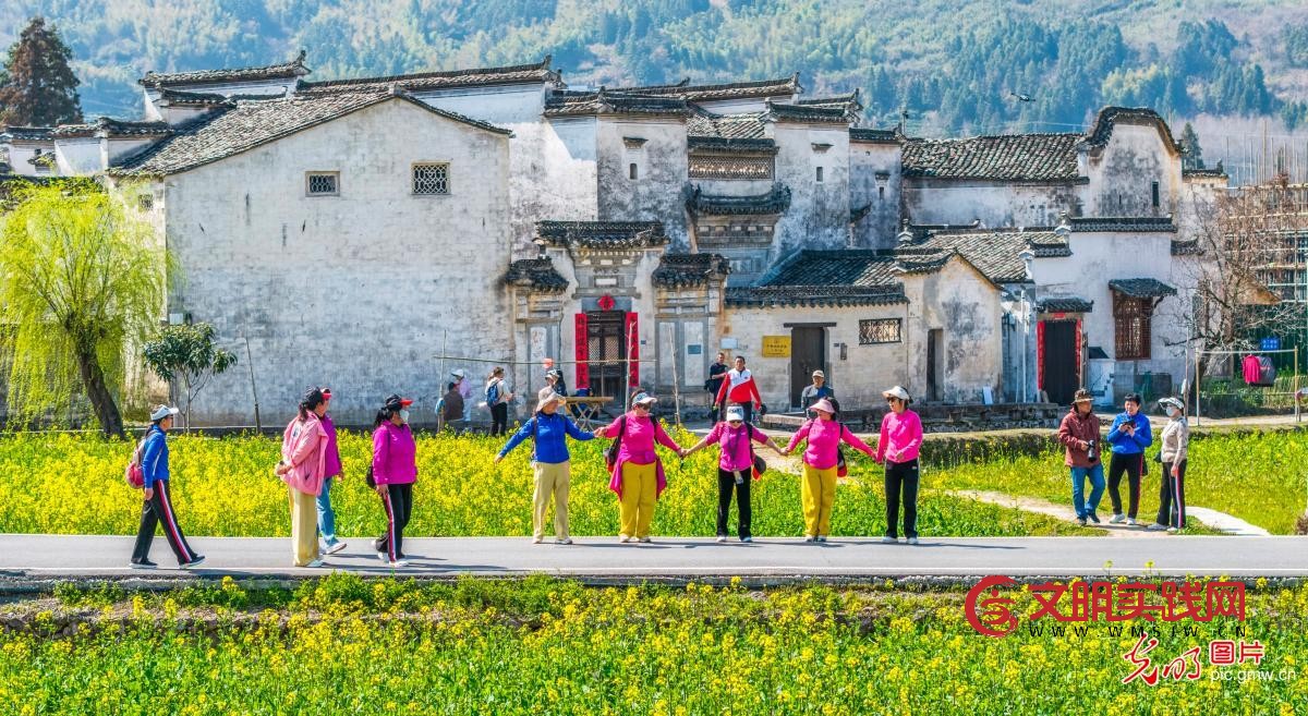 踏青赏花 乐享春光