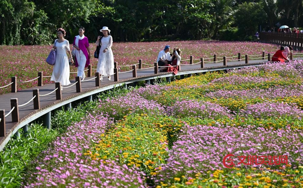 琼海美丽乡村“盛装”迎盛会