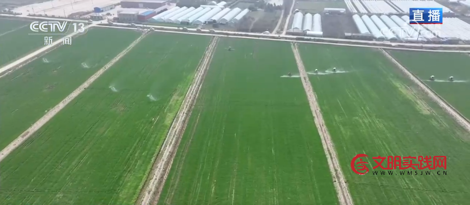 争农时、抢春管、推技术、保丰产 农业科技助力下好春耕生产“先手棋”