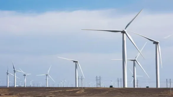 聚力技术创新 “智护风光” 团队打造光伏与风机全天候智能监测体系 image.png