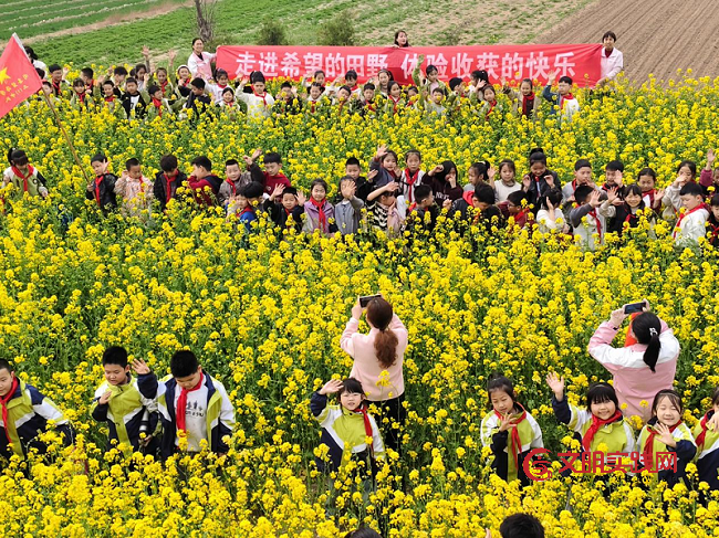 山西闻喜:走进希望的田野 体验收获的快乐 图片2.png
