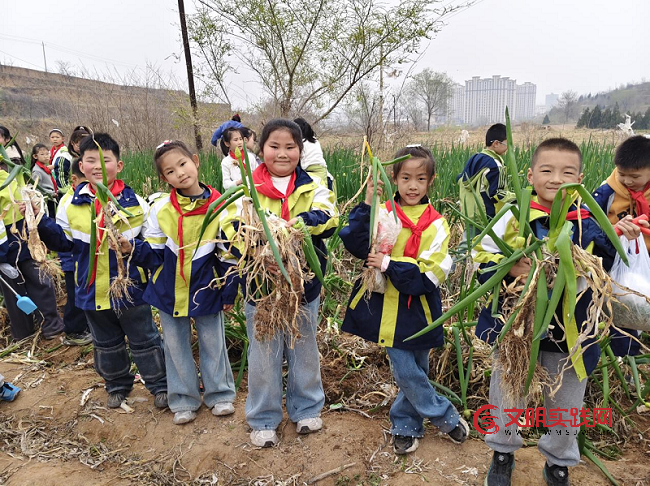 山西闻喜:走进希望的田野 体验收获的快乐 图片3.png