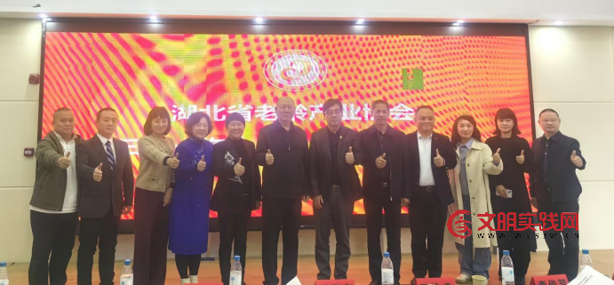 十年铸辉煌 银龄启新程 --湖北省老龄产业协会第三届一次会员大会暨换届大会隆重举行 image.png