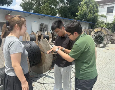 “智巡线缆”团队开展实地调研 推动电力巡检智能化升级 image.png