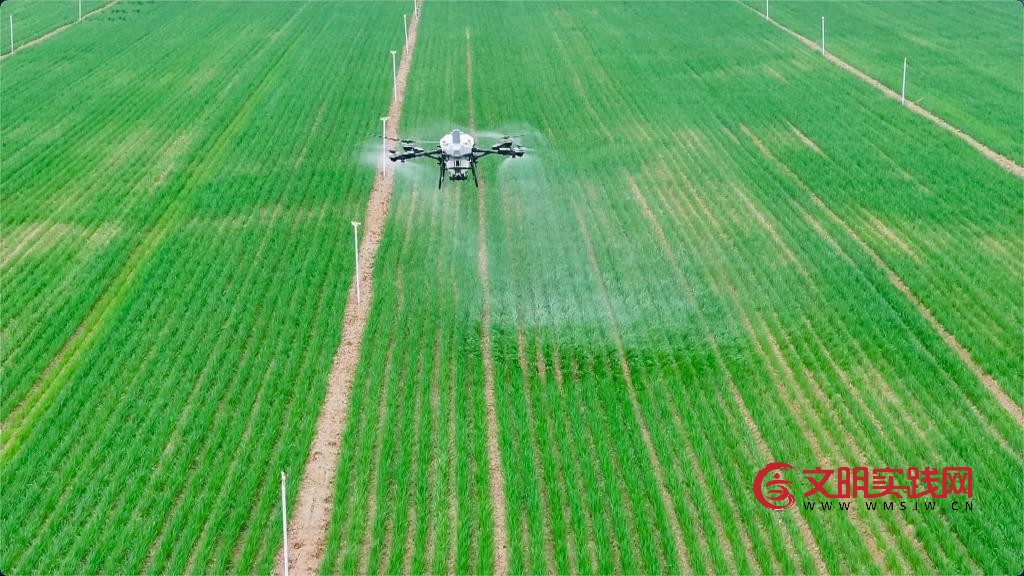 人工智能“开处方” 智慧农机进麦田