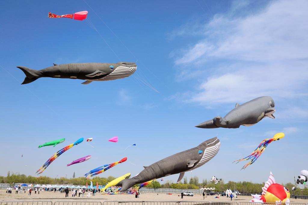 15支国内外风筝代表队齐聚北京园博园“斗鸢” 15支国内外风筝代表队齐聚北京园博园“斗鸢”