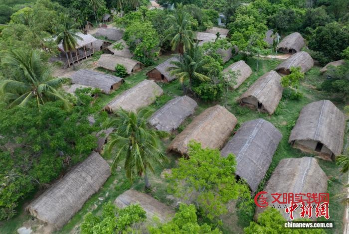 海南苗族女儿的“雨林故事”：真正的守护是“共生”