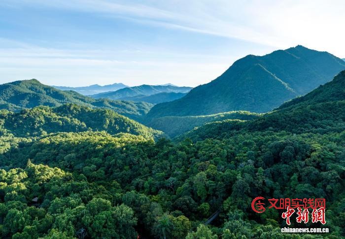 海南苗族女儿的“雨林故事”：真正的守护是“共生”