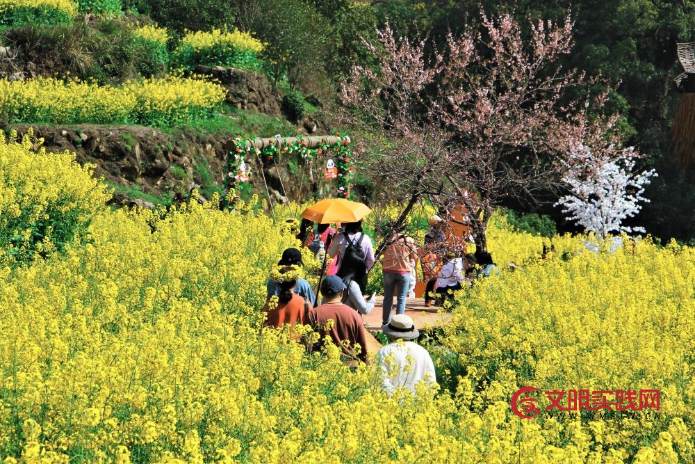 这份原生态，守住了春天最硬核的美！