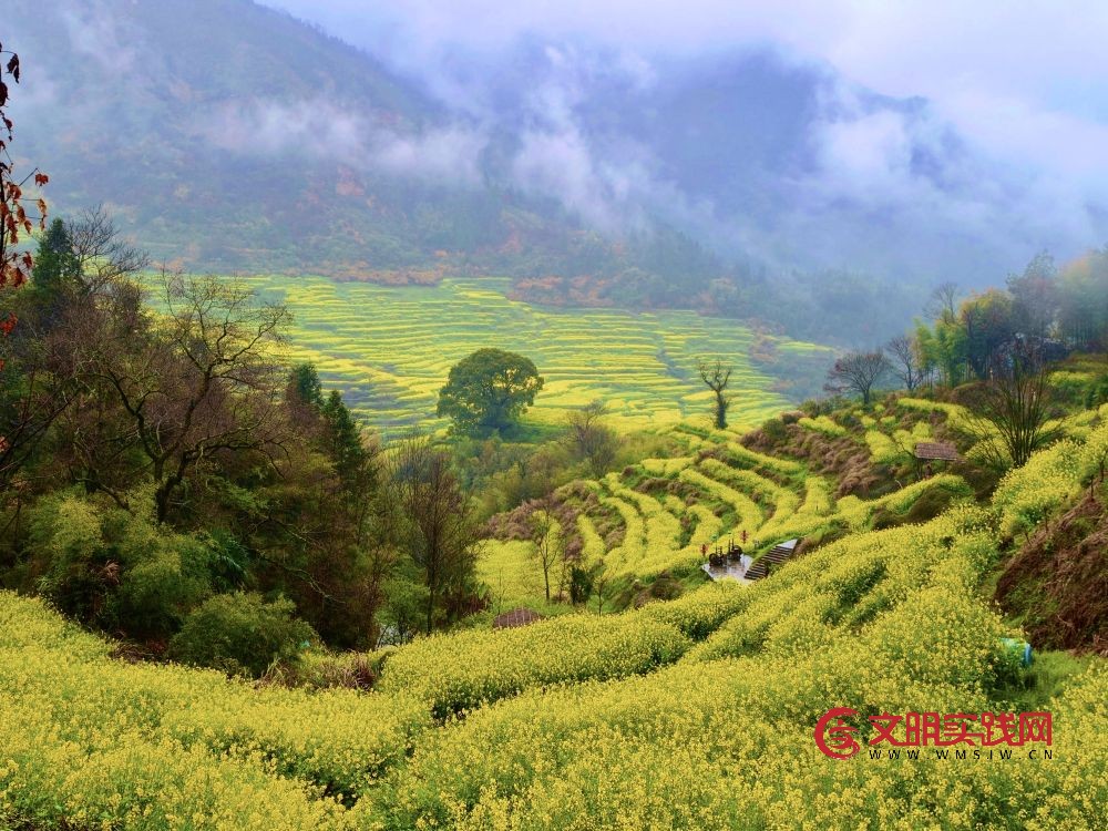 这份原生态，守住了春天最硬核的美！