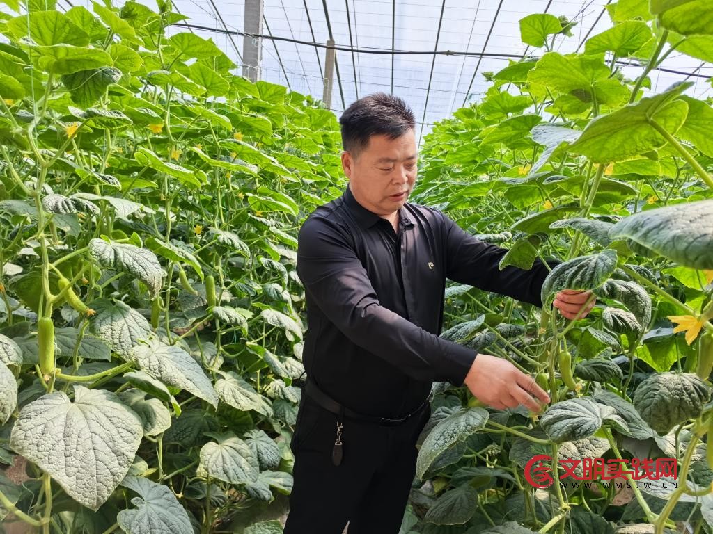 山东潍坊：“智慧农业”点亮特色产业富民路