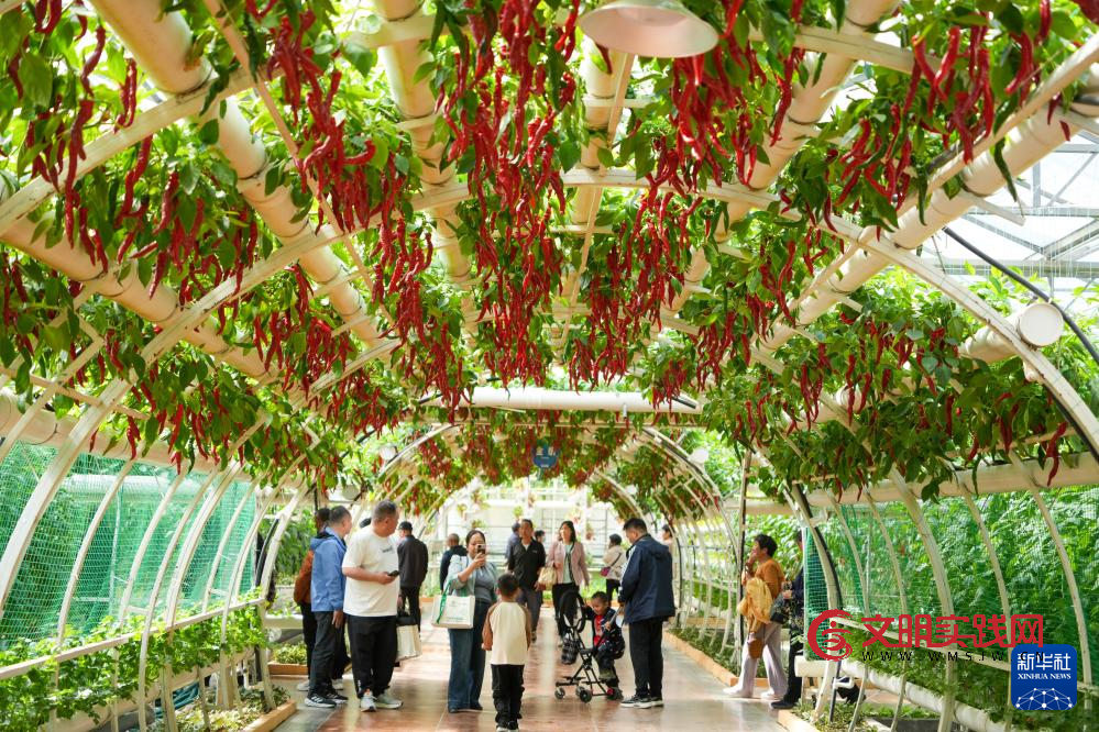 第二十七届中国（寿光）国际蔬菜科技博览会开幕