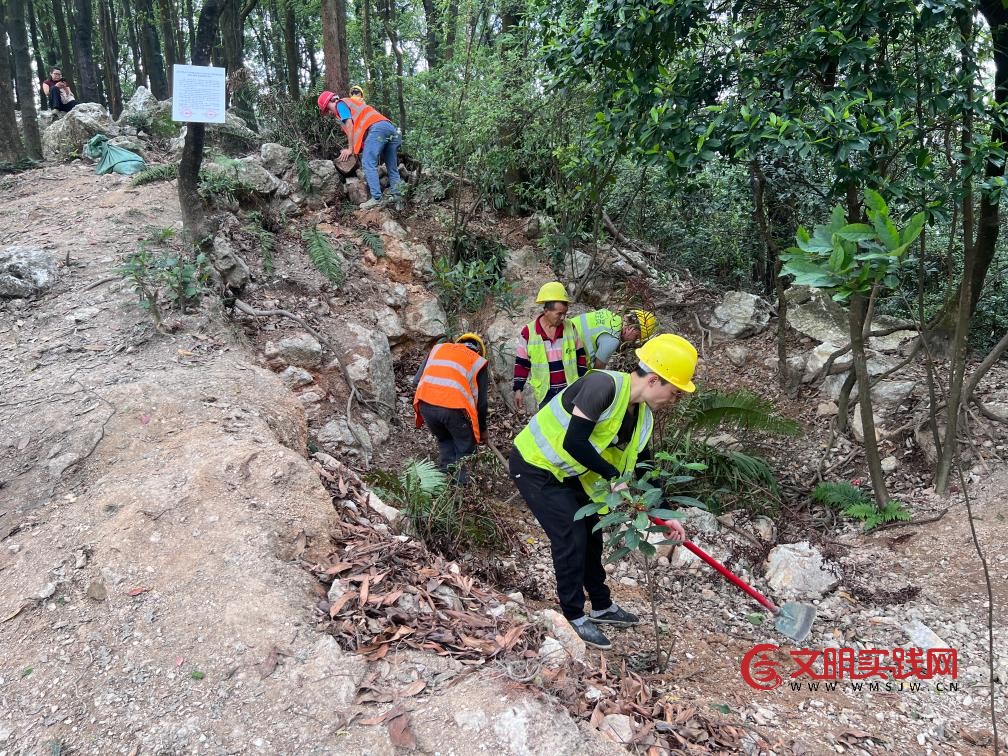 广州黄埔暹岗大山被采挖坑洞已全部回填复绿